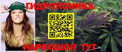 скорость Будённовск