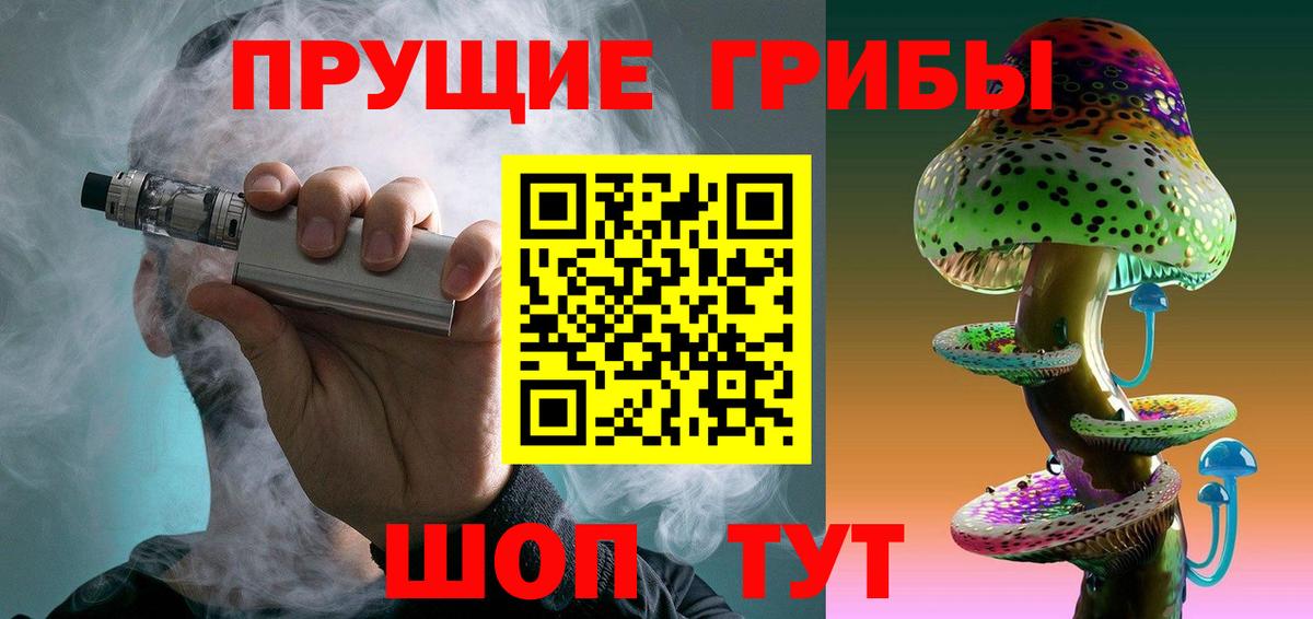 Псилоцибиновые грибы Psilocybine cubensis Краснотурьинск